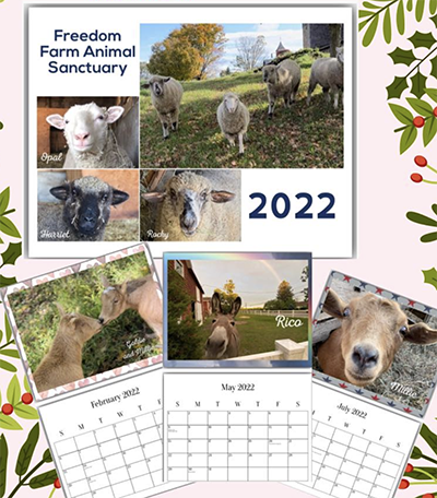 FFAS Calendar 2021